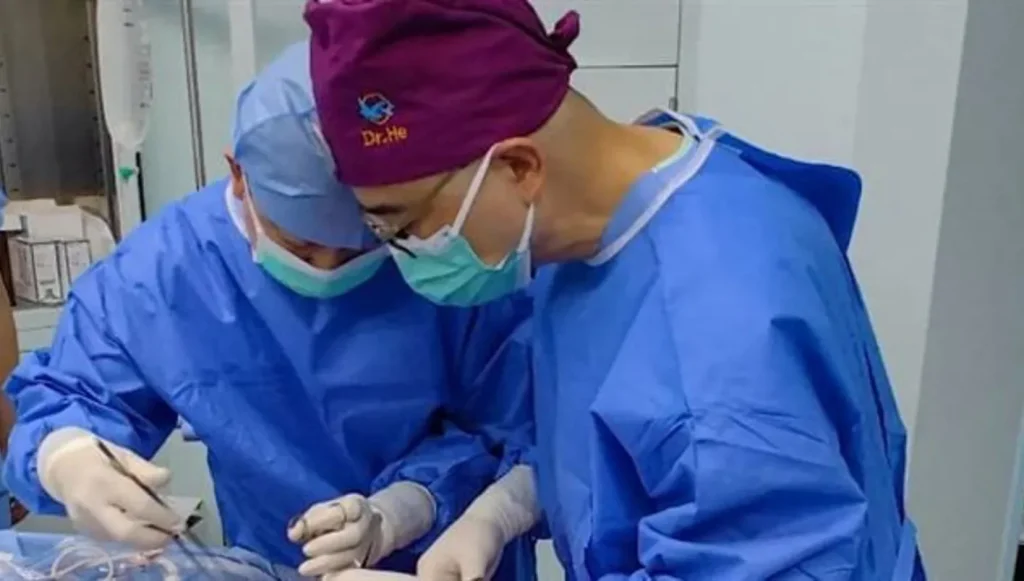 تجربة علمية غير مسبوقة: زراعة رئة خنزير في جسد إنسان