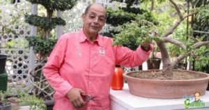 محمد مصطفى شردى بعد القبض على ميدو: احذروا غضب المصريين – اليوم السابع