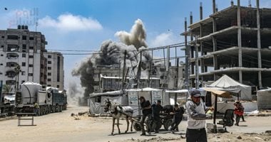 نائبة: مصر تثبت يومًا بعد يوم أنها حجر الزاوية في حماية القضية الفلسطينية