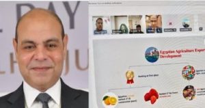 المكتب التجاري يبحث نفاذ الرمان المصري إلى الأسواق الهندية