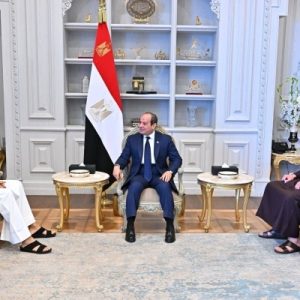 السيسي يستقبل ناصر بن حمد وخالد بن حمد