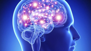 La communication entre l'estomac et le cerveau prédit votre identité émotionnelle