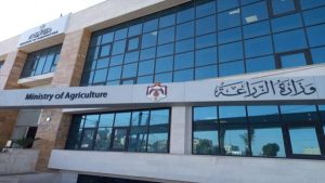 الزراعة: استئناف تصدير البندورة إلى الأسواق السعودية