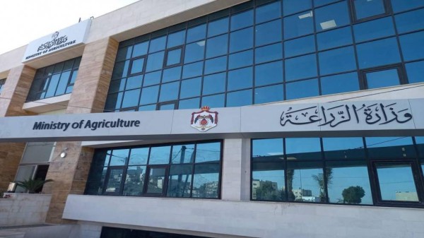 الزراعة: استئناف تصدير البندورة إلى الأسواق السعودية