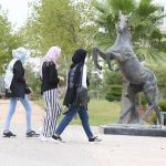 Women’s Associations Accuse 'Entities' of Fueling Hatred and Distorting the Image of Moroccan Women