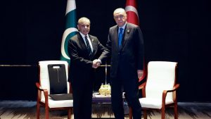 في اجتماعات على هامش قمة شنغهاي... أردوغان يجدد دعم تركيا لوحدة الأراضي السورية