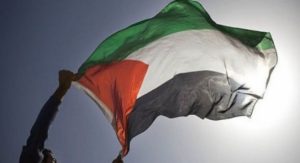 وزير خارجية بلجيكا: اعترافنا بفلسطين رسالة قوية لإسرائيل والإبادة واضحة بغزة