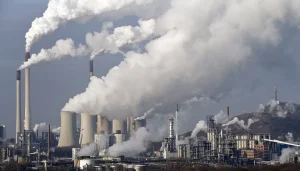 Organisation : Les incendies de forêt aggravent la pollution de l'air