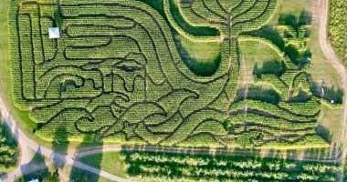 مزرعة تفوز بجائزة “أفضل متاهة محصول ذرة” في أمريكا للعام الرابع على التوالي