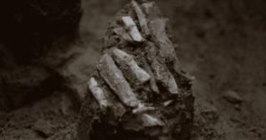 Découverte d’un ensemble d’outils de chasseur vieux de 30 000 ans en République tchèque