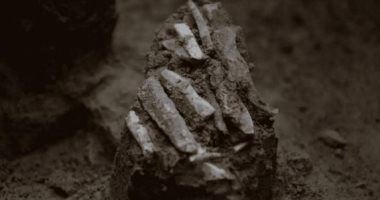 اكتشاف مجموعة أدوات صياد عمرها 30 ألف عام فى التشيك