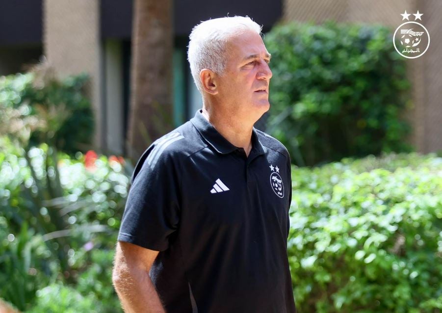 بيتكوفيتش مقتنع بأن التجديد في “الخضر” سيكون بعد نهاية تصفيات المونديال – الشروق أونلاين