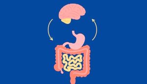 Link Between the Stomach and Emotion Formation