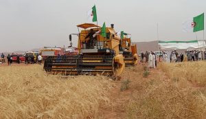 المكننة والرقمنة و”الدرون” و”السمارت فارمينغ” لتصحيح أرقام الفلاحين! – الشروق أونلاين