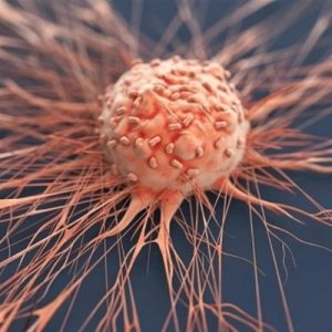 Ces aliments renforcent l'immunité et aident à combattre les cellules cancéreuses - Al-Watan