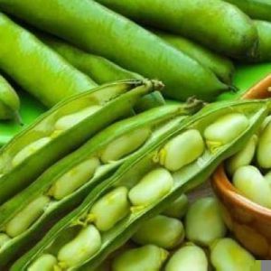 Benefits of Green Beans in Enhancing Bone Health - Al-Watan