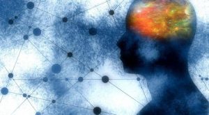 Amazing Scientific Discovery: Scientists Disable the Brain's "Stress Key"