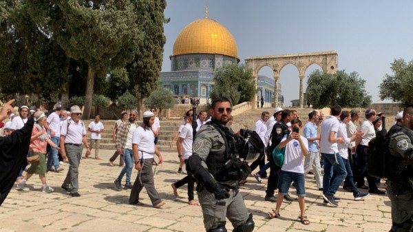 مستوطنون يقتحمون المسجد الأقصى وينفذون جولات استفزازية