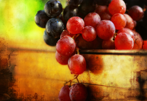 New Fruit Combines the Taste of Grapes with the Benefits of Red Berries