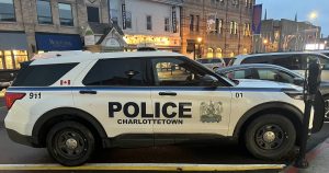 Thief Sues Man Who Prevented Him from Stealing His Car!