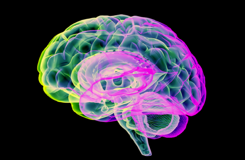 Une étude révèle l'impact des maladies et du mode de vie sur le vieillissement du cerveau