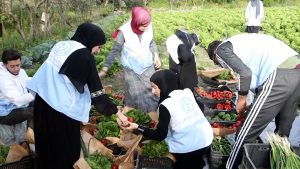 Video: Volunteering, a Journey of Giving Amid Crises in Lebanon