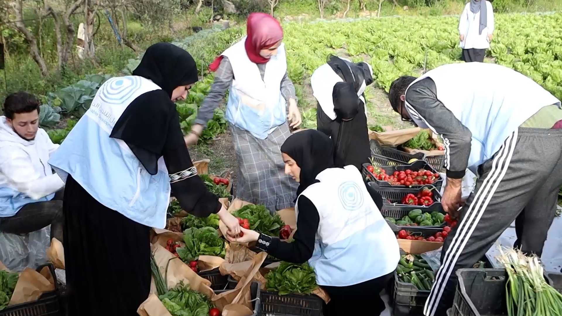 بالفيديو.. التطوع مسيرة عطاء بوجه الأزمات في لبنان