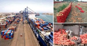 مصر تصدر 130 ألف طن مواد غذائية خلال أسبوع.. والسودان والسعودية أبرز المستوردين – بوابة الأهرام