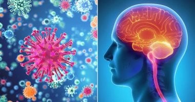 لماذا يعد الأطفال أكثر عرضة للإصابة بالتهاب السحايا من البالغين؟