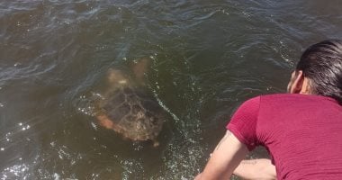 10 موارد أقرها القانون لصندوق حماية البيئة.. تعرف عليها – اليوم السابع