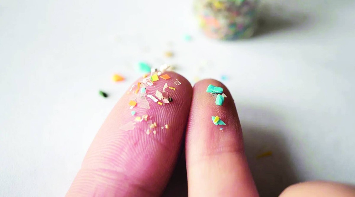 الجسيمات البلاستيكية الدقيقة تؤثر سلباً على البكتيريا المعوية النافعة