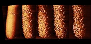 Stunning Images: How Antibiotics Break Down the Shield of Deadly Bacteria