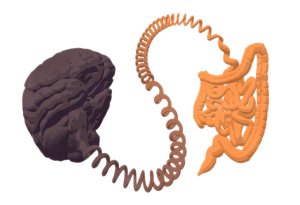 ارتباط غير متوقع بين التوحد وصحة الأمعاء!