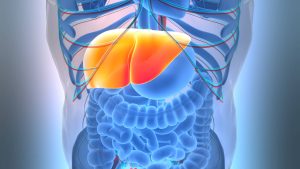 مشروب شائع يشكل درع وقاية من مرض الكبد الدهني