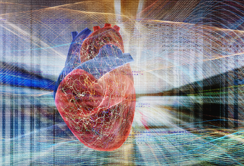 “غذاء خارق” يعزز صحة القلب ويضبط ضغط الدم والسكر