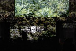Des entreprises émiraties présentent des projets innovants lors de la conférence mondiale sur la conservation de la nature