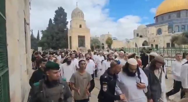مستوطنون إسرائيليون يقتحمون باحات المسجد الأقصى بحماية شرطة الاحتلال