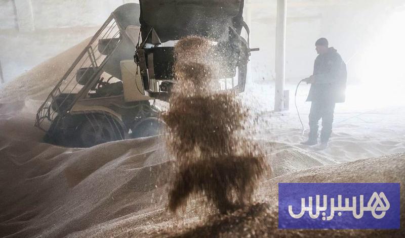 بيانات روسية تكشف تفاصيل صادرات إلى المغرب بقيمة 147 مليون دولار